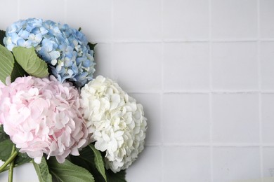 Photo of Beautiful hydrangea flowers on white tiled background, top view. Space for text