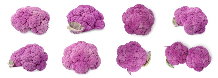 Image of Set with fresh purple cauliflowers on white background. Banner design