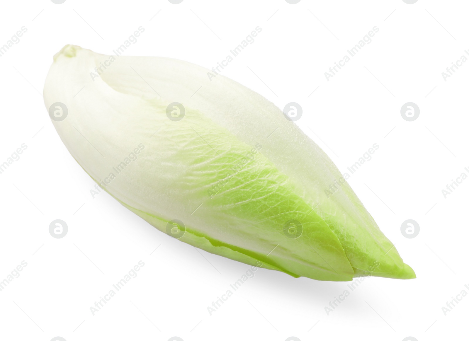 Photo of One raw ripe chicory isolated on white