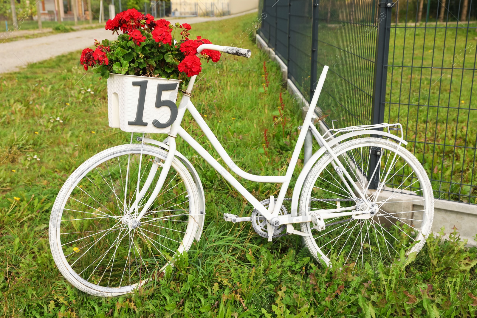 Photo of White bicycle with number 15 on basket of flowers outdoors