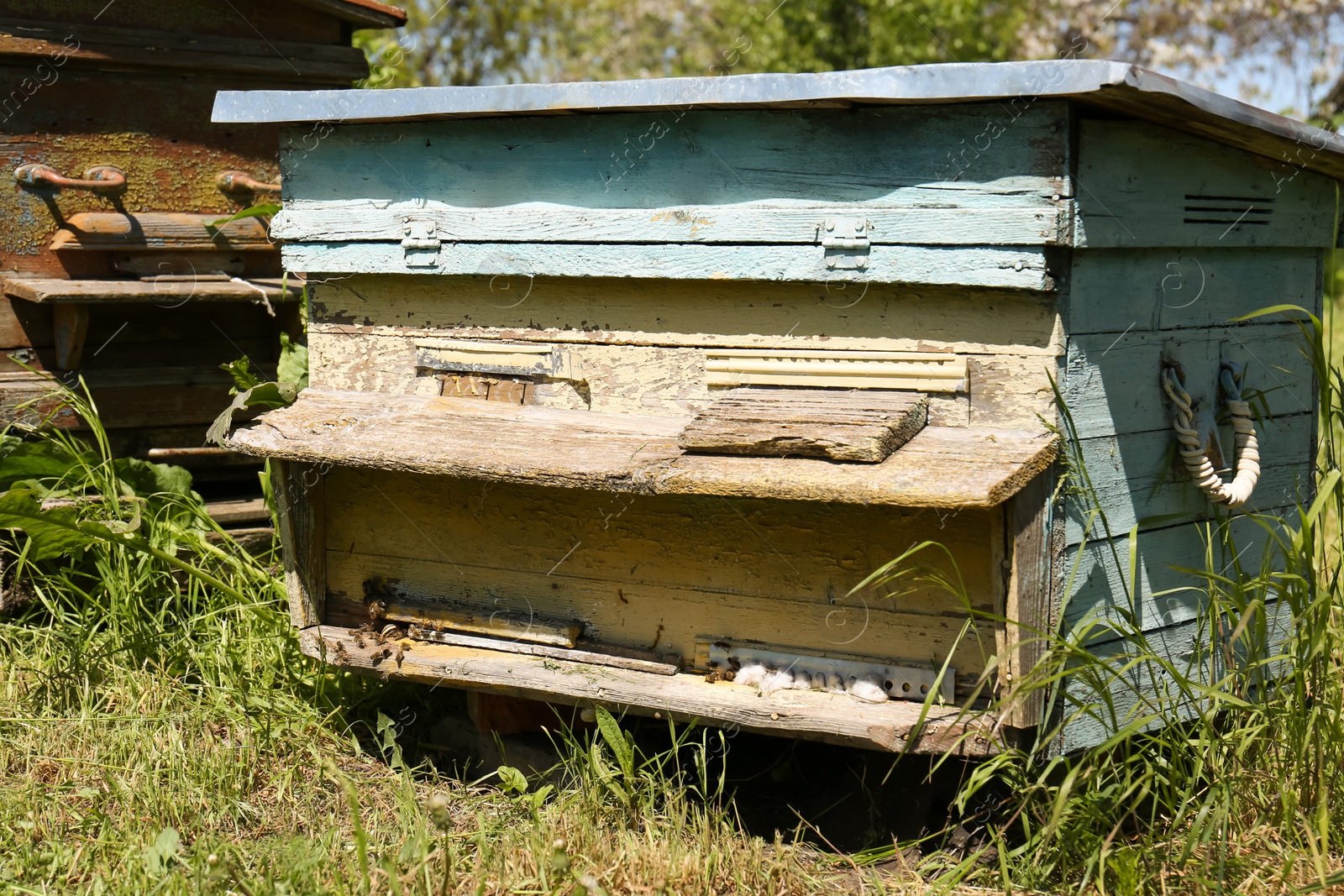 Photo of Old bee hive at apiary outdoors on sunny day