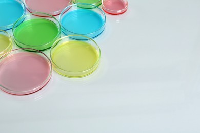 Photo of Petri dishes with different colorful samples on white table