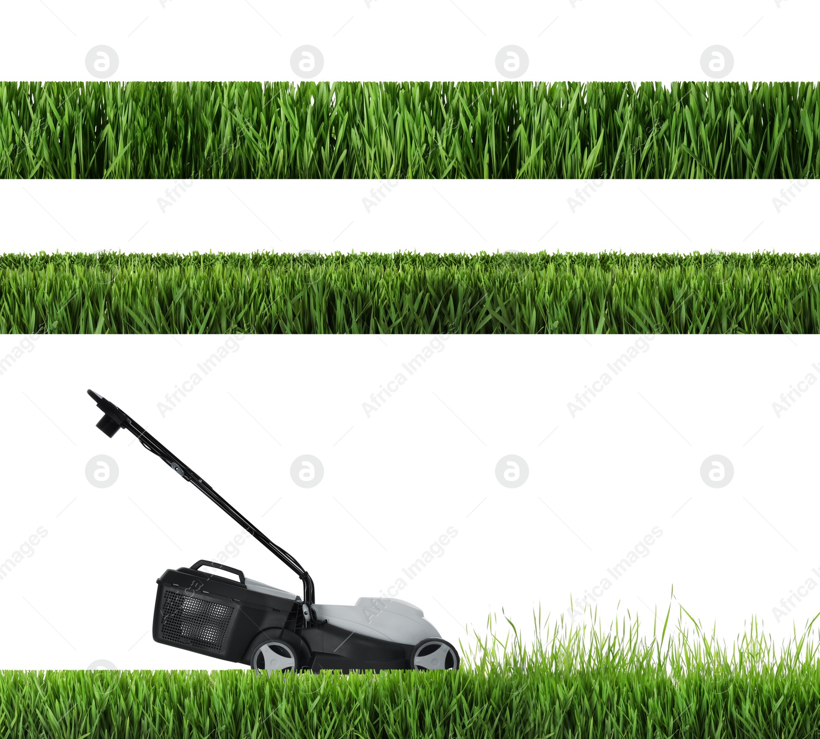 Image of Modern garden lawn mower cutting green grass, white background