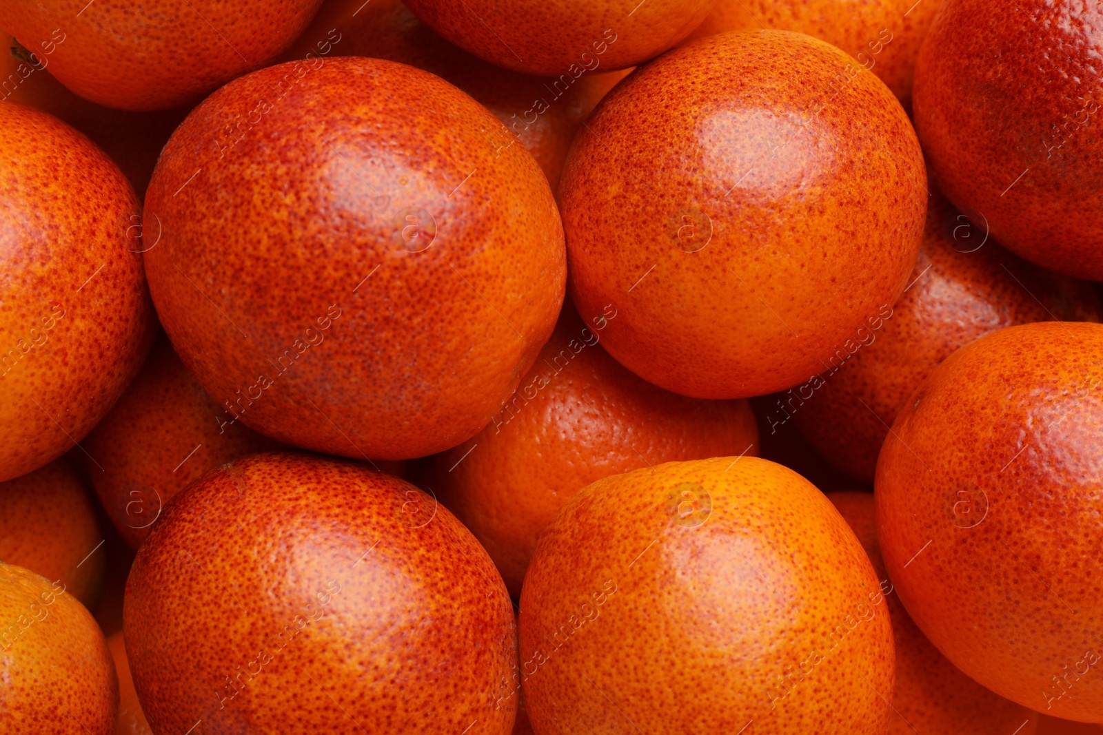 Photo of Pile of ripe sicilian oranges as background, closeup