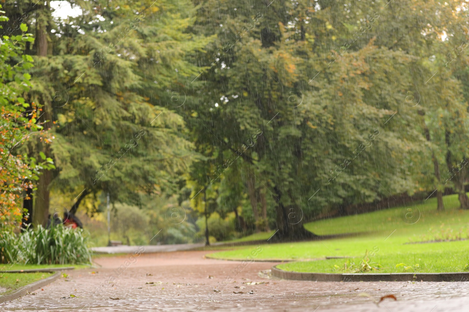 Photo of Beautiful view of pathway in park on rainy day