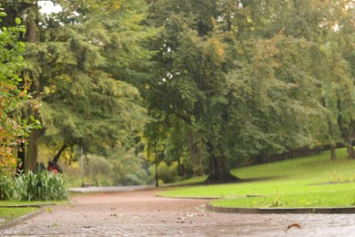 Photo of Beautiful view of pathway in park on rainy day