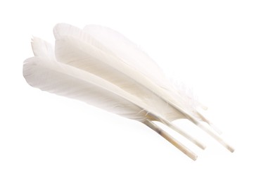 Many fluffy beautiful feathers on white background