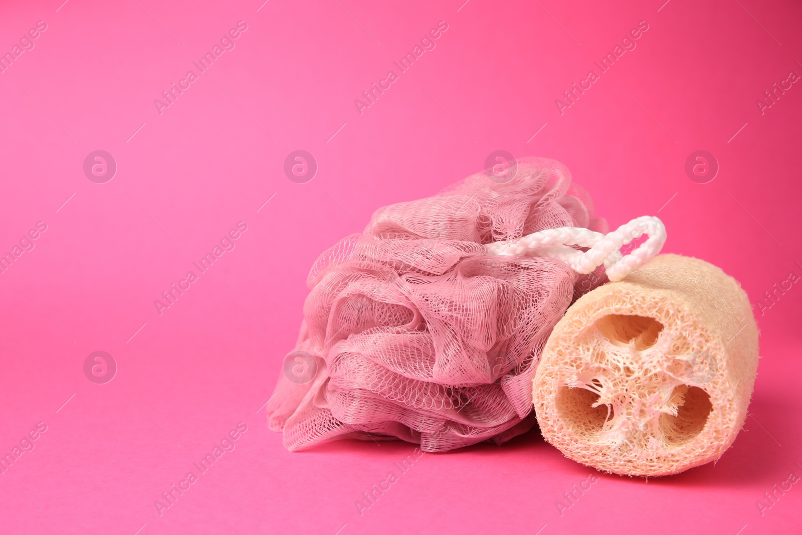 Photo of Shower puff and natural loofah sponge on pink background, space for text