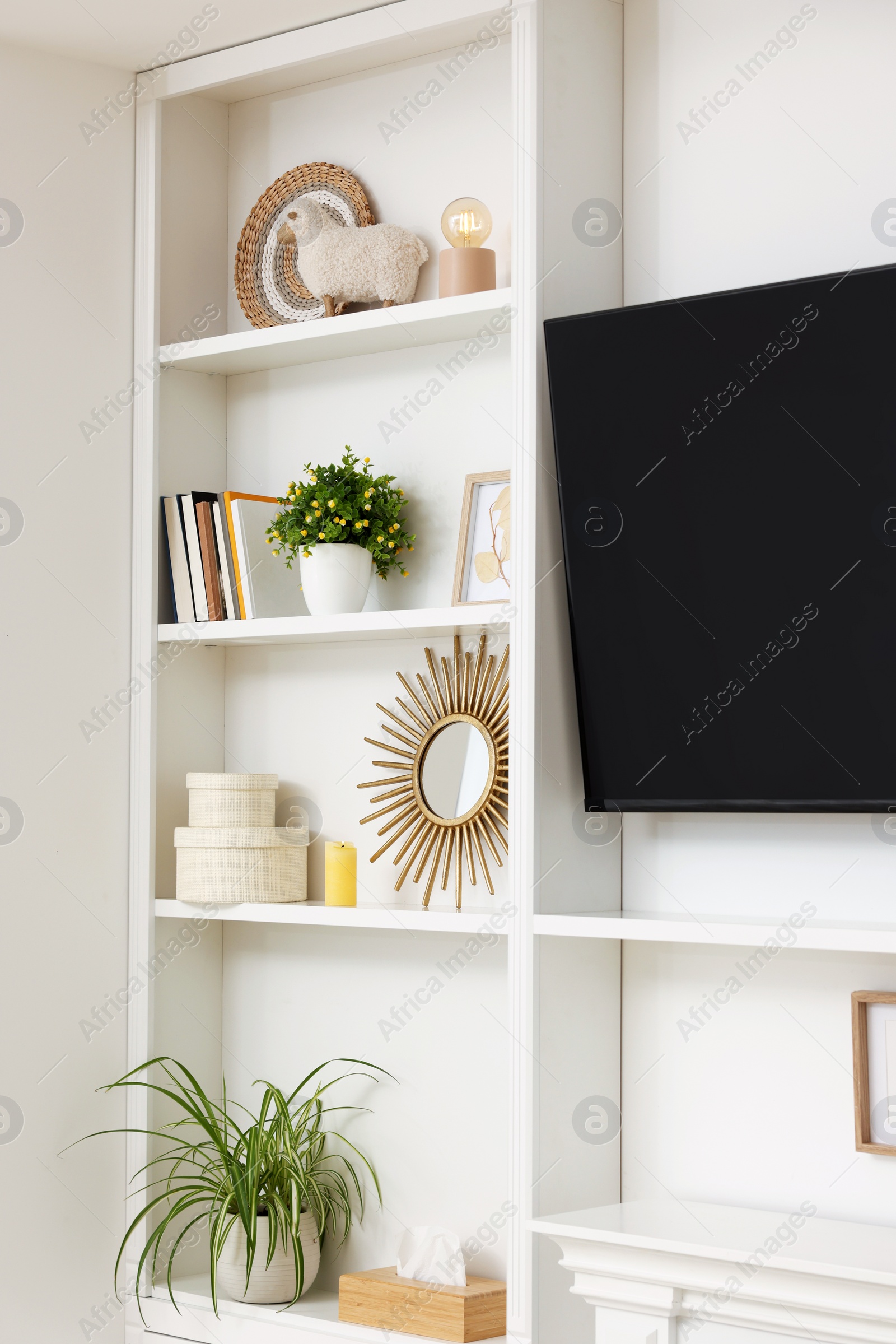Photo of Spring atmosphere. Shelves with stylish accessories, and potted plants near tv in room