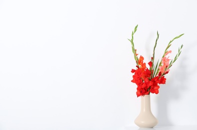 Vase with beautiful gladiolus flowers on white background