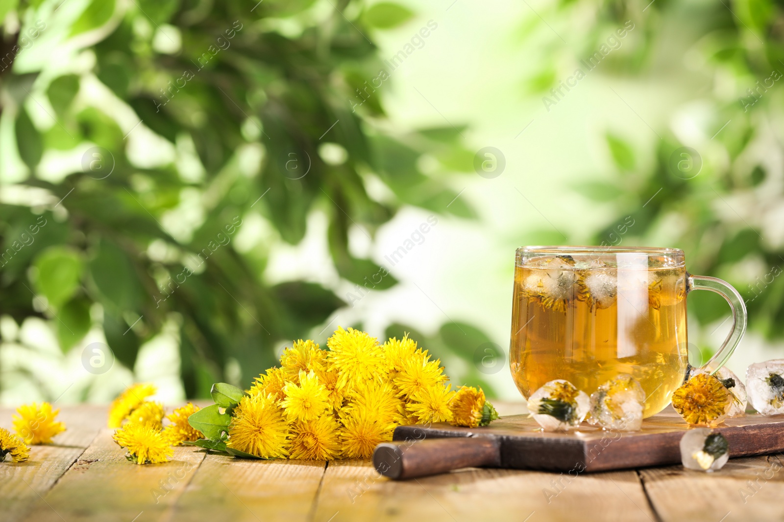 Photo of Delicious fresh tea, dandelion flowers and ice cubes on wooden table against blurred background. Space for text