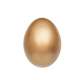 Photo of One shiny golden egg isolated on white
