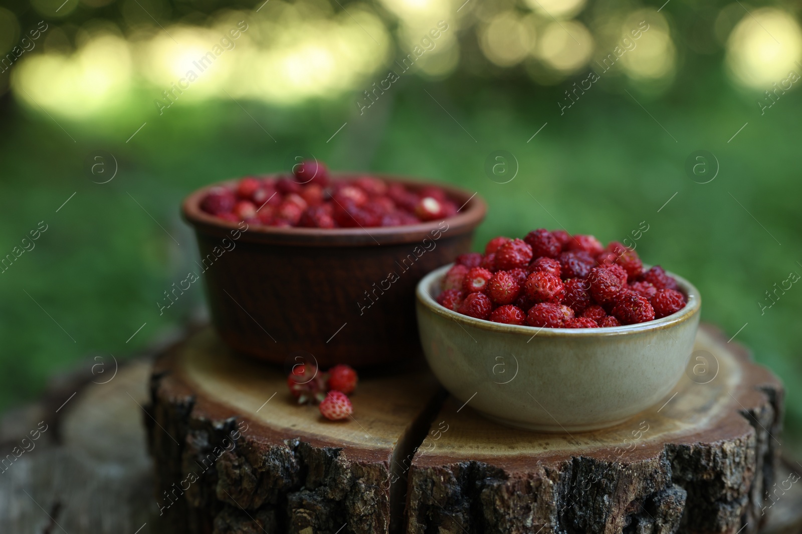 Photo of Bowls of tasty wild strawberries on stump against blurred background, closeup