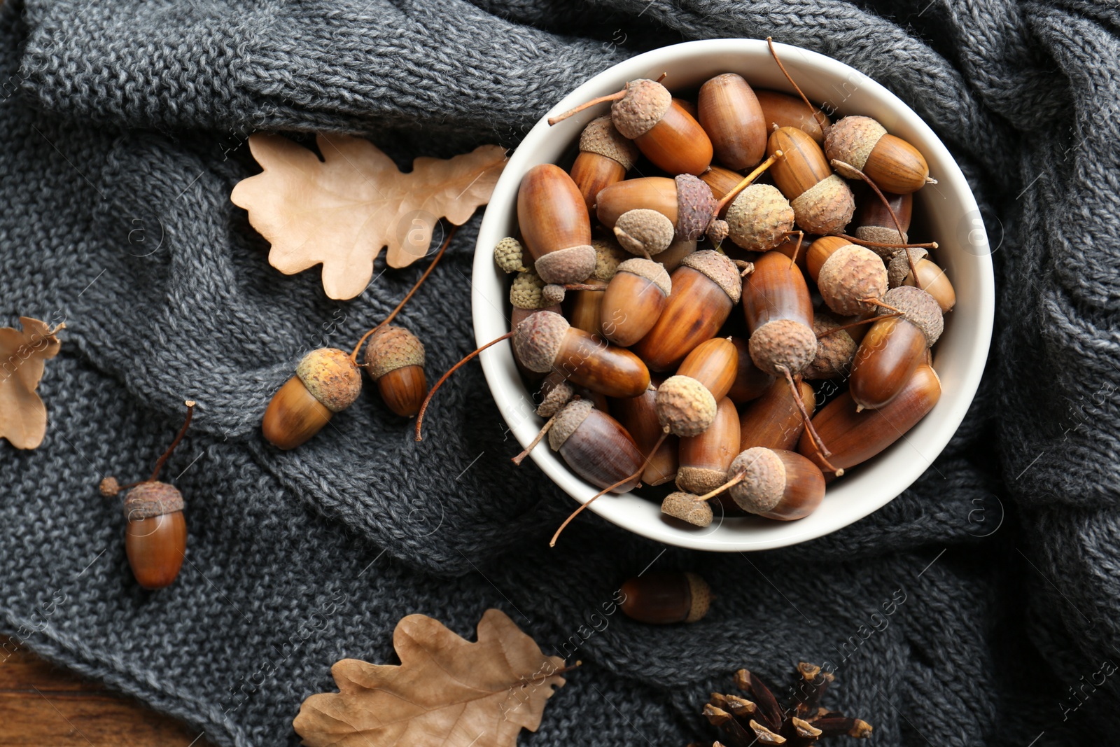 Photo of Acorns and oak leaves on grey knitted fabric, flat lay