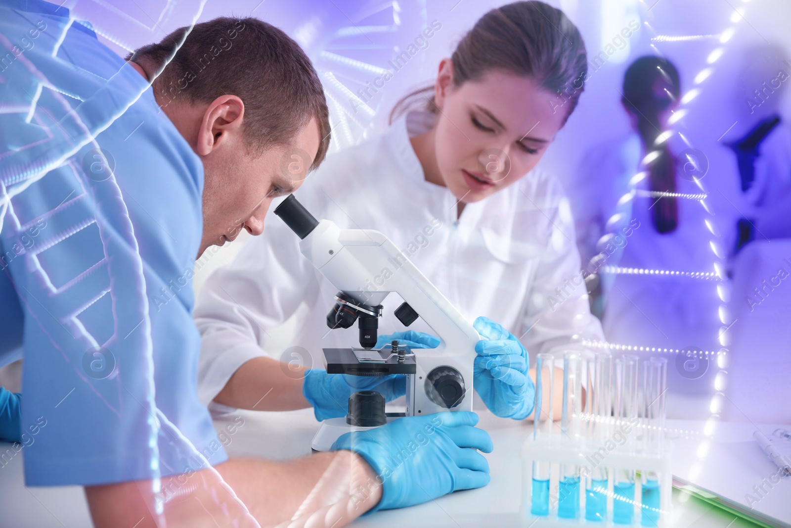 Image of Genetic testing. Double exposure of laboratory worker using microscope at table and illustration of DNA structure