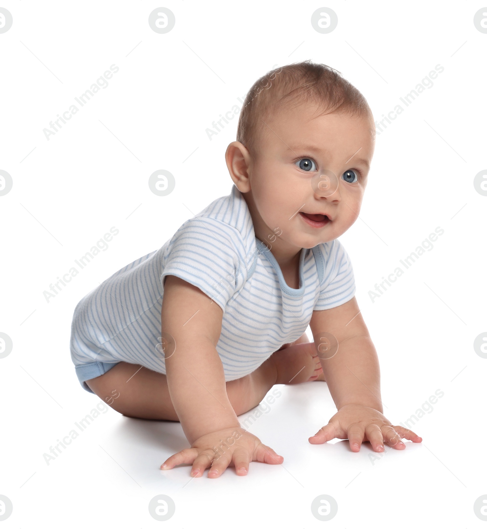 Photo of Cute little baby boy crawling on white background