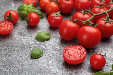Fresh cherry tomatoes and basil leaves on grey table, closeup