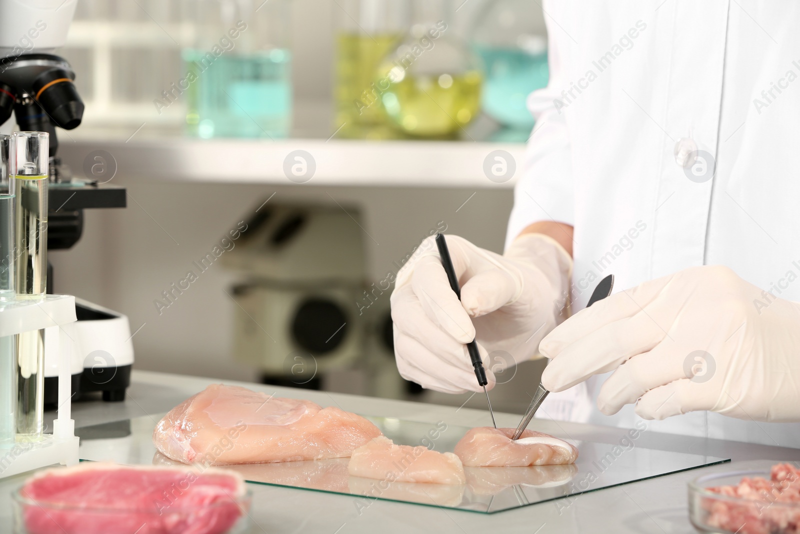 Photo of Scientist inspecting meat sample in laboratory. Food quality control