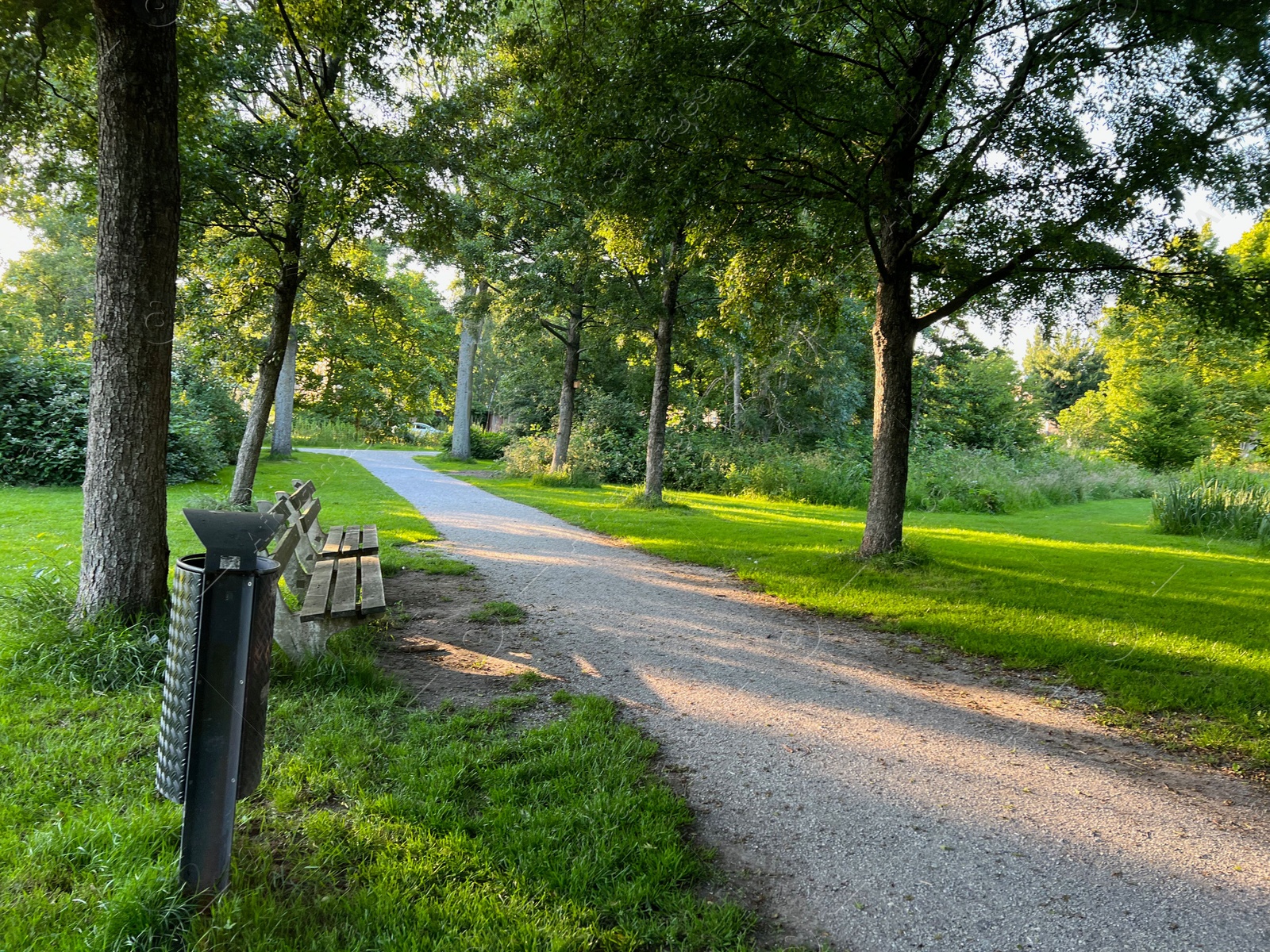 Photo of View of pathway going through park with beautiful green plants