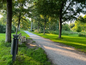 View of pathway going through park with beautiful green plants