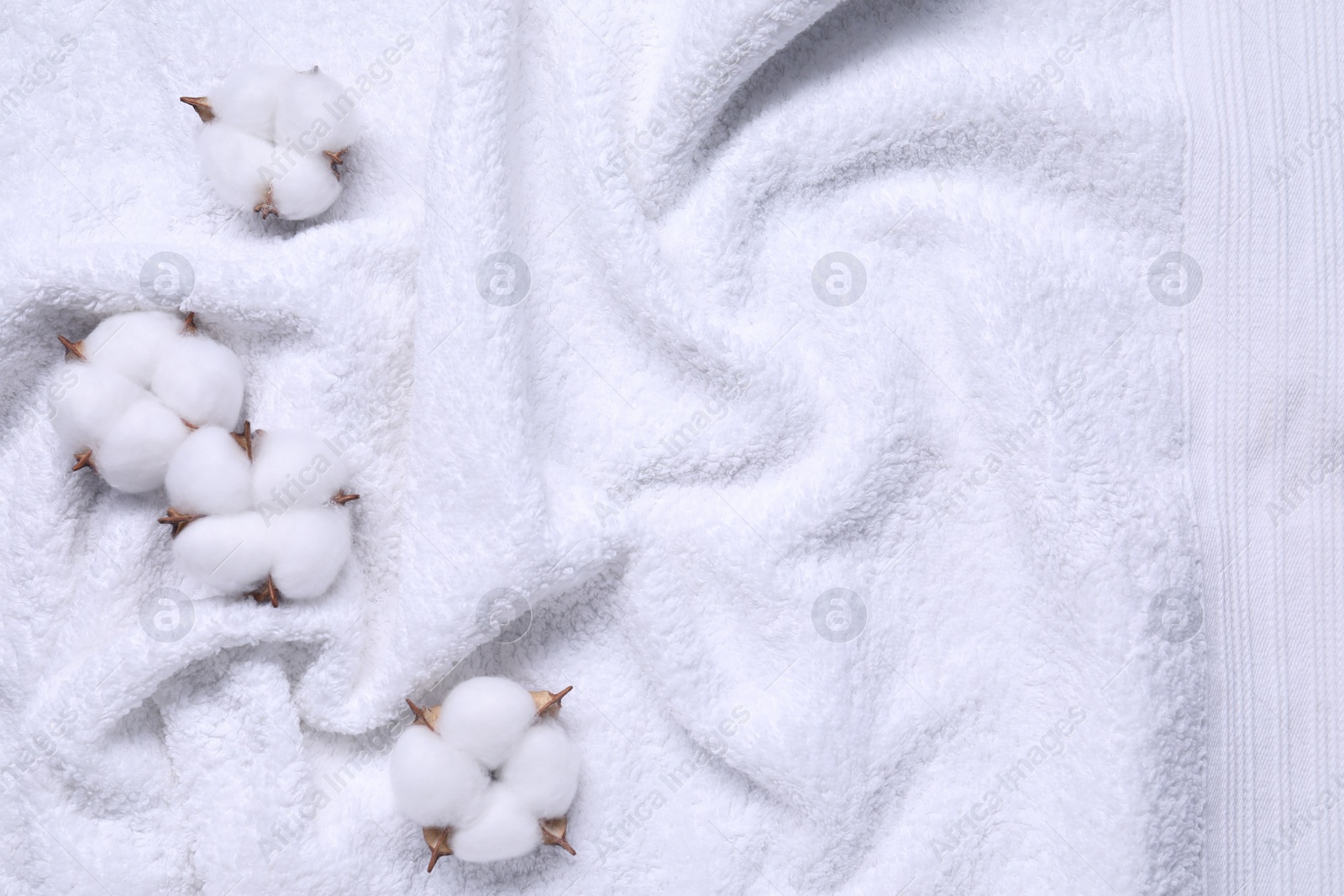 Photo of Fluffy cotton flowers on white terry towel, top view. Space for text