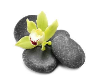 Beautiful orchid flower and spa stones on white background