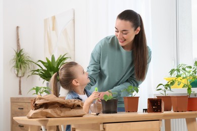 Photo of Mother and daughter spraying seedling in pot together at wooden table in room
