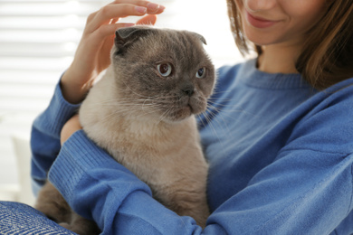 Photo of Young woman with cute cat at home, closeup. Fluffy pet