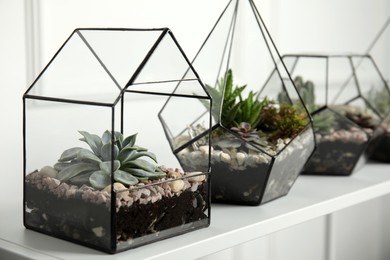 Glass florarium vases with succulents on white table indoors, space for text