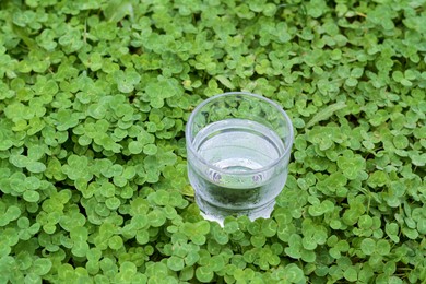 Photo of Glass of water in green clovers outdoors