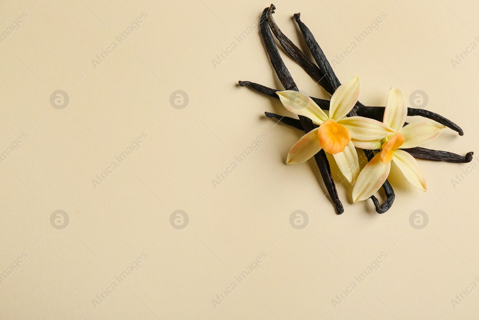 Photo of Flat lay composition with vanilla sticks and flowers on color background. Space for text