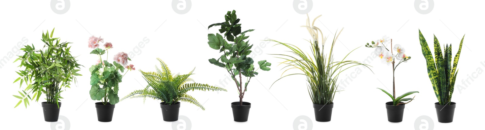 Image of Set of artificial plants in flower pots isolated on white. Banner design