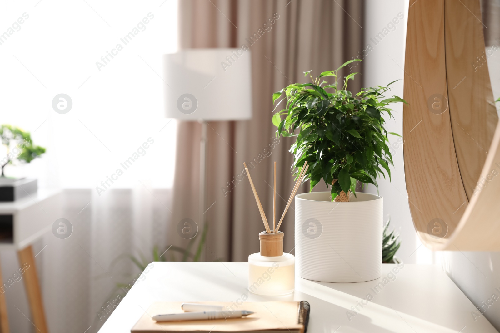 Photo of Beautiful potted plant near mirror in room. Home decoration