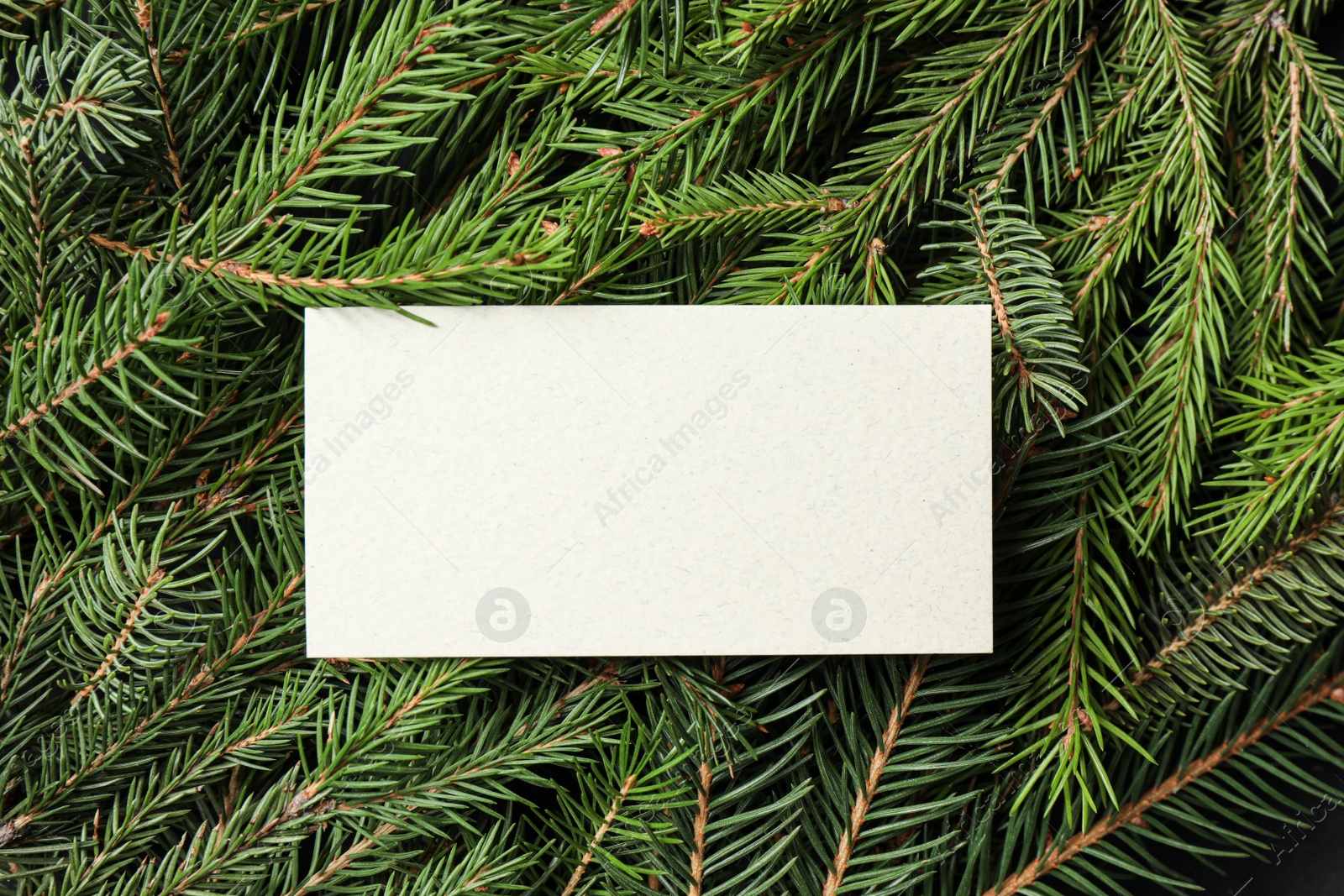 Photo of Blank card on fir tree branches, top view. Space for text