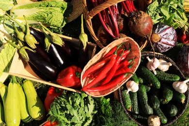 Different fresh ripe vegetables as background, top view