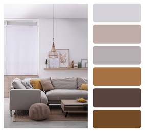 Color palette and photo of stylish living room interior. Collage