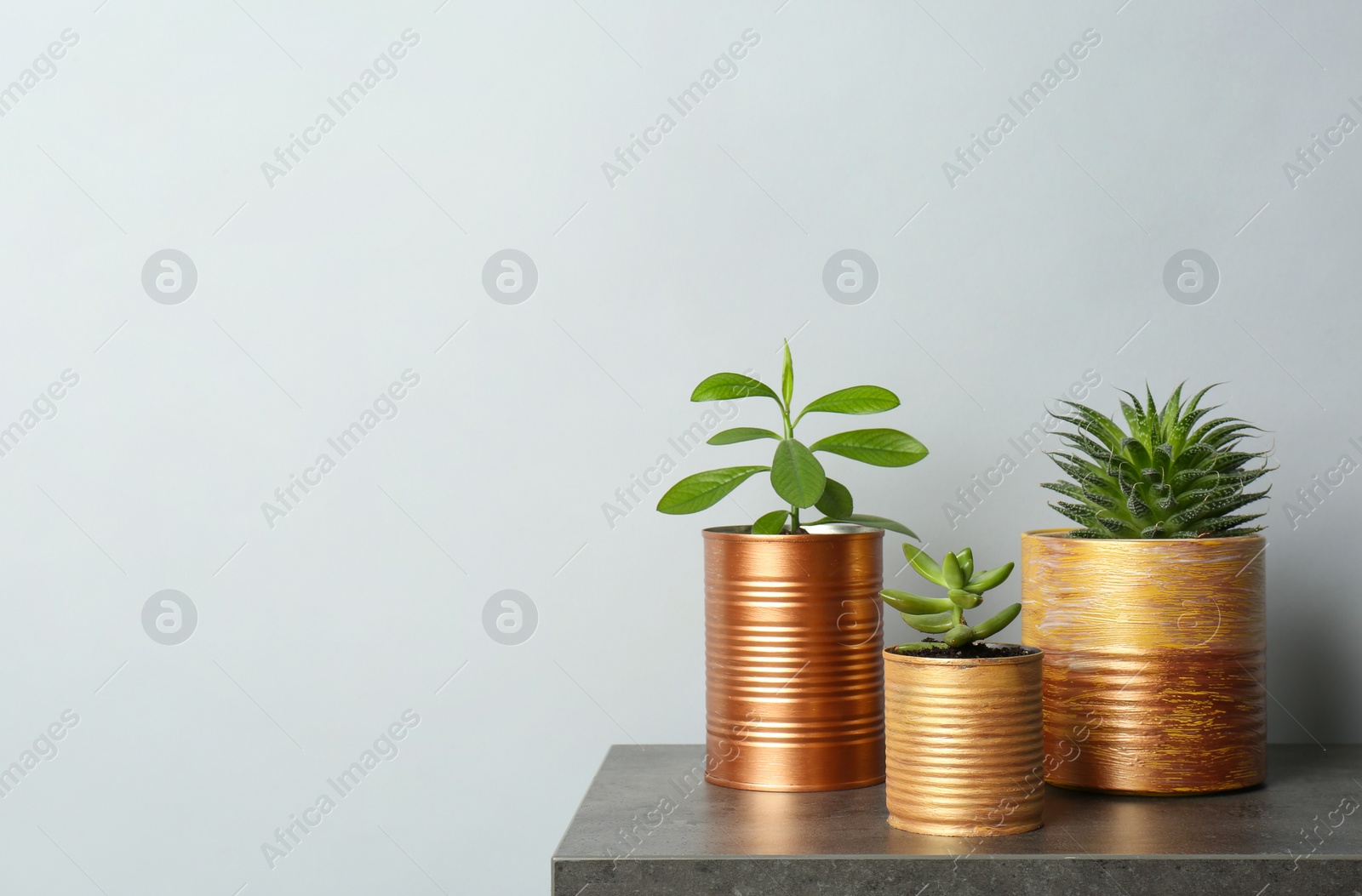 Photo of Beautiful houseplants in tin cans on grey stone table. Space for text