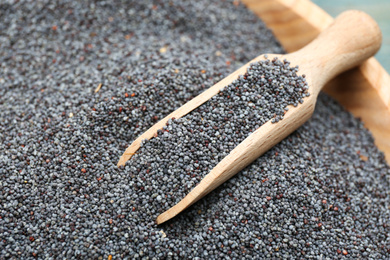 Photo of Poppy seeds and wooden scoop in bowl, closeup