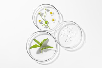 Petri dishes with different plants and cosmetic product on white background, top view