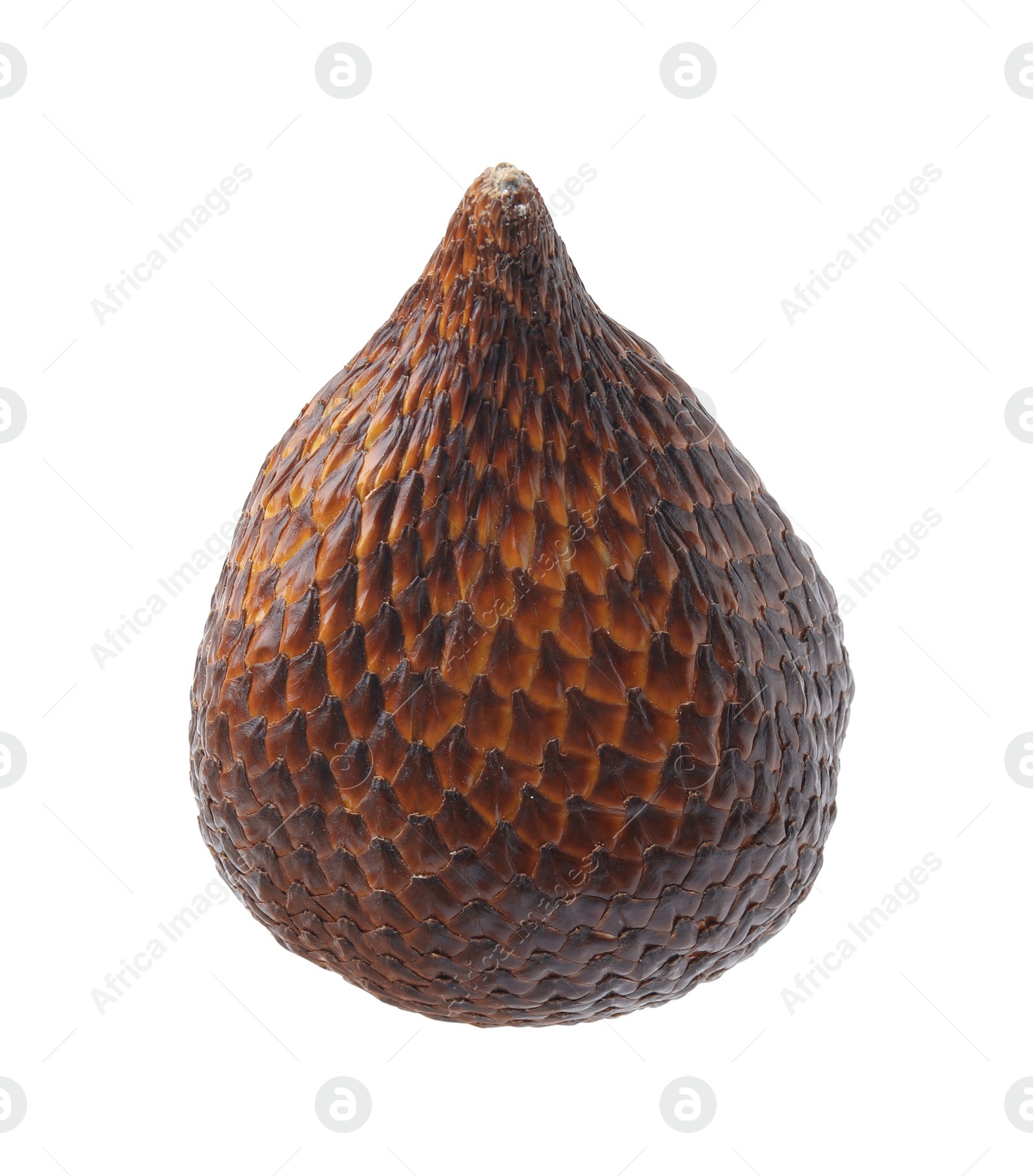 Photo of One fresh salak fruit isolated on white