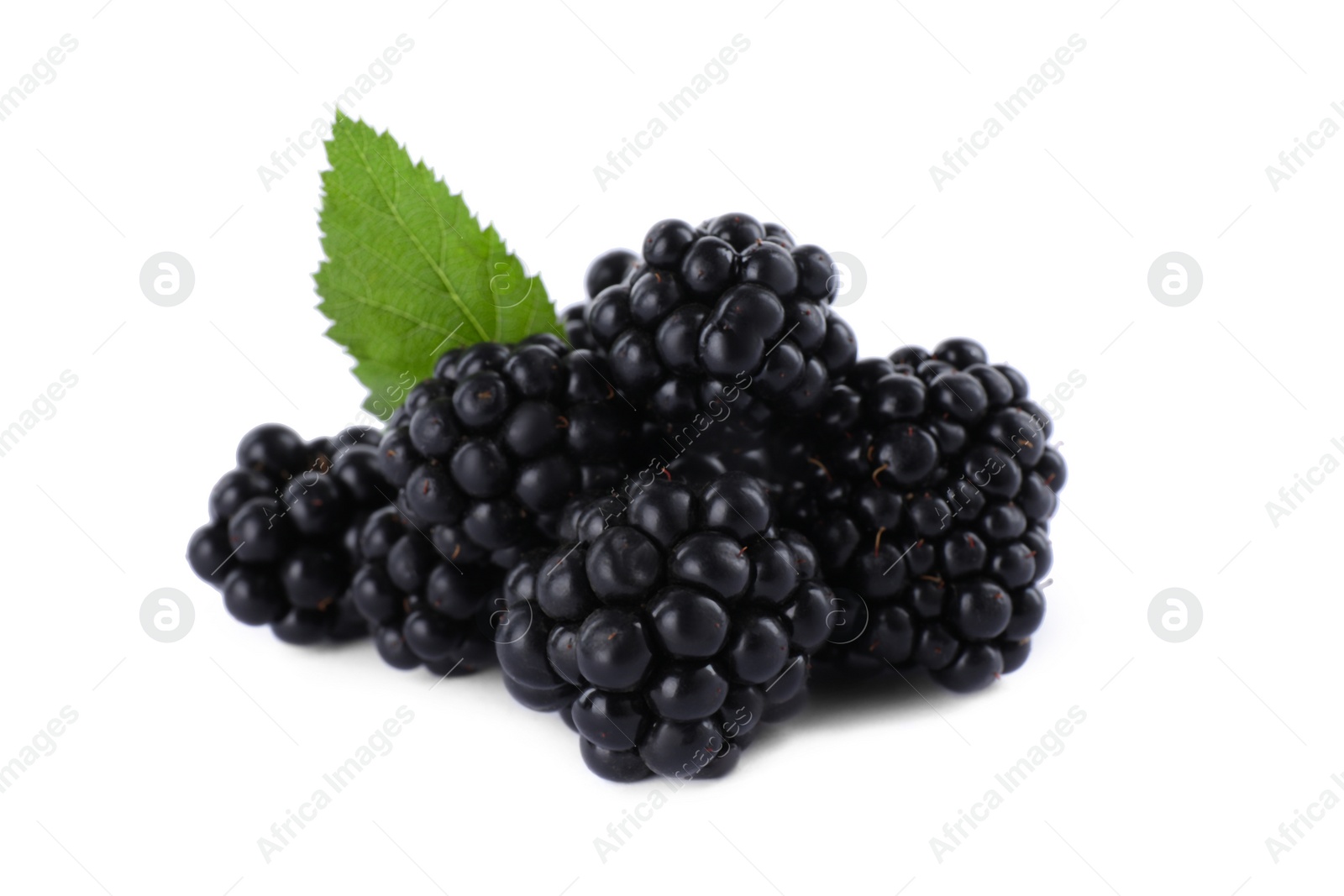 Photo of Tasty ripe blackberries and leaf on white background