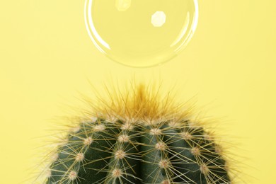 Image of Soap bubble over cacti on yellow background