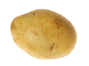 Photo of Fresh raw organic potato isolated on white