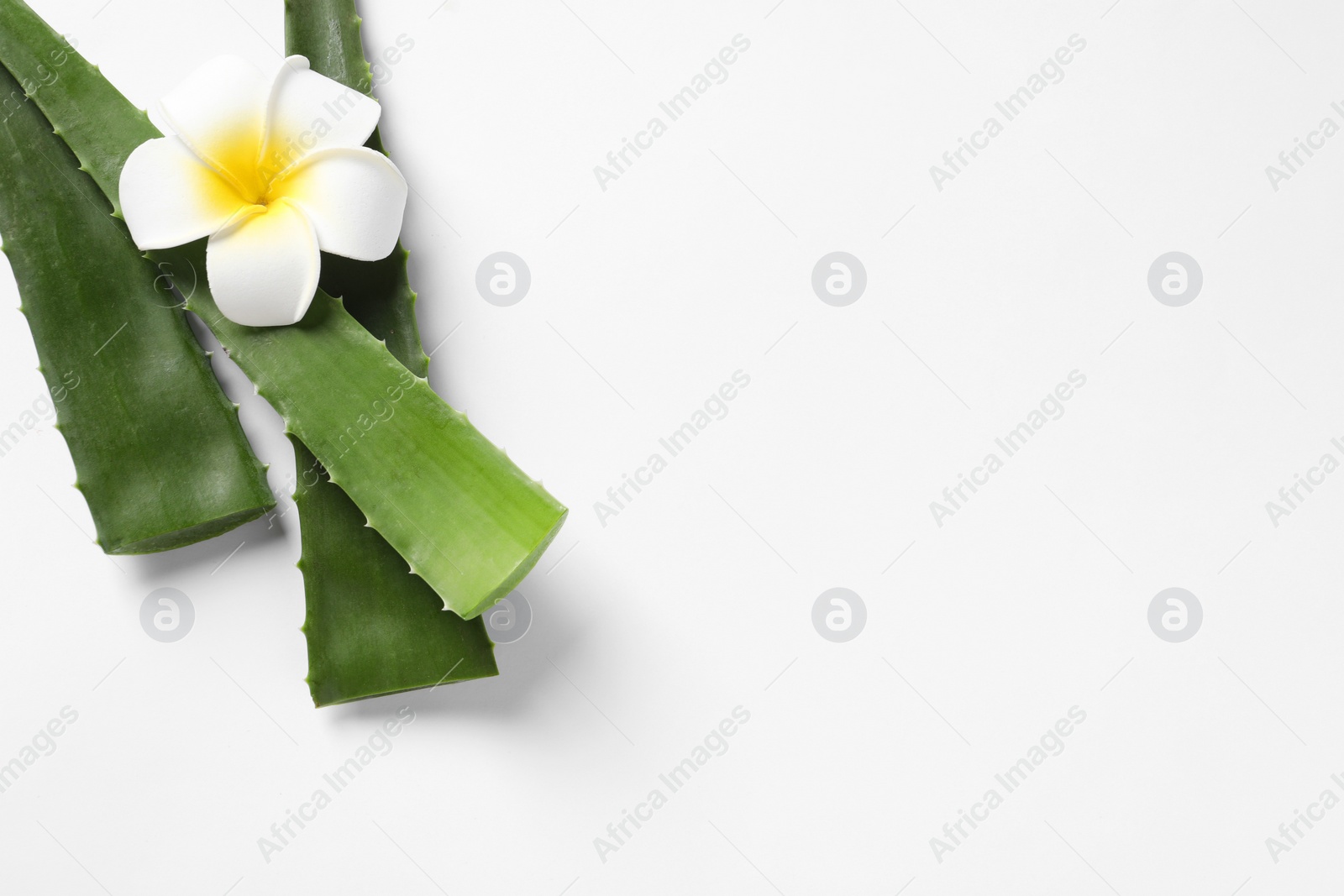Photo of Green aloe vera leaves and plumeria flower on white background, flat lay. Space for text