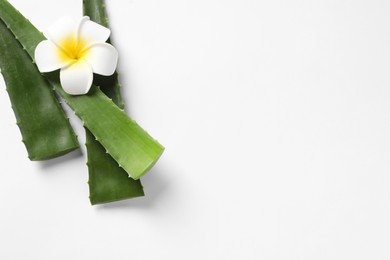 Photo of Green aloe vera leaves and plumeria flower on white background, flat lay. Space for text