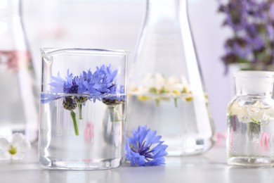 Photo of Laboratory glassware with different flowers on light table. Essential oil extraction