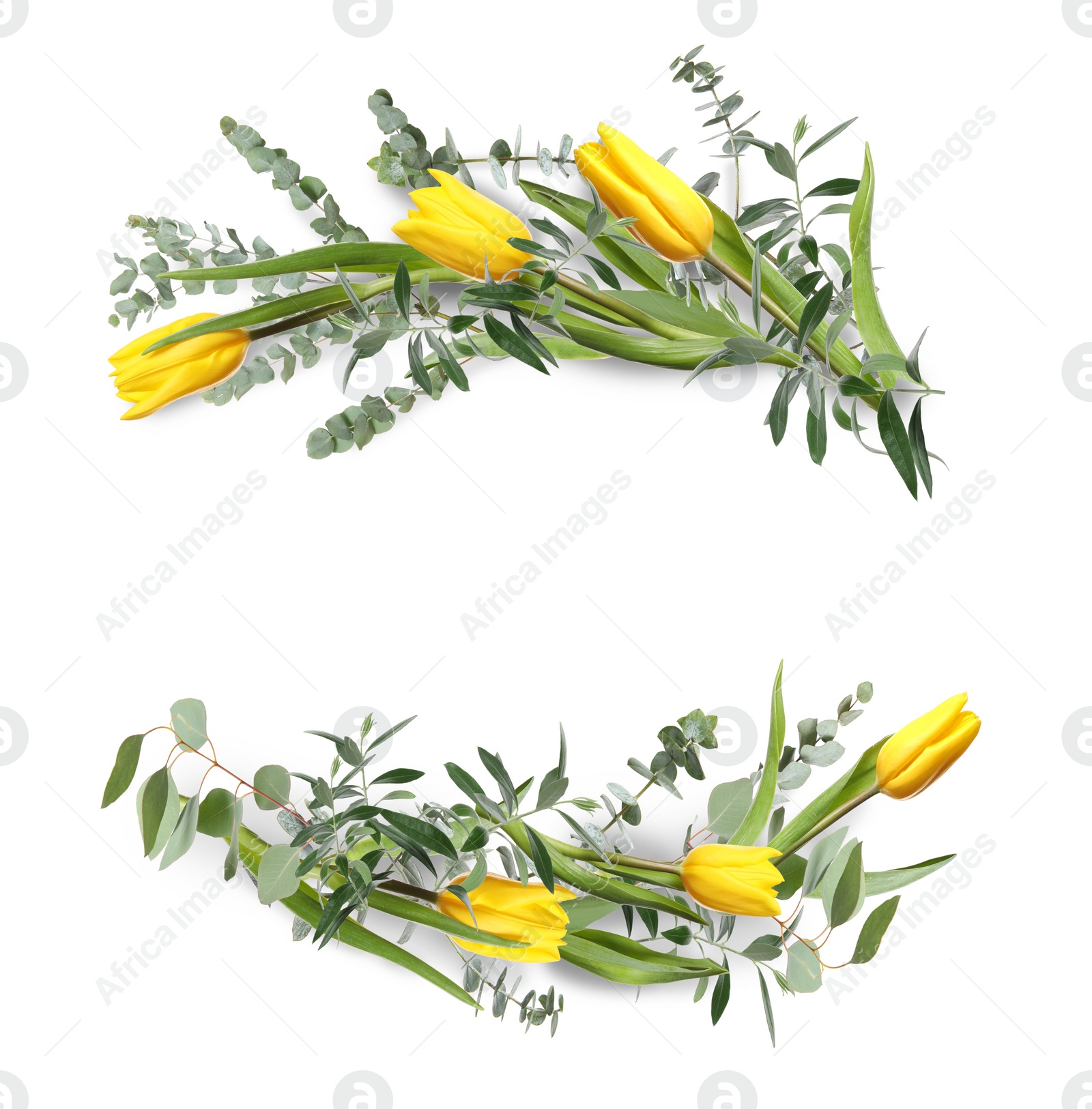 Image of Wreaths made of beautiful flowers on white background