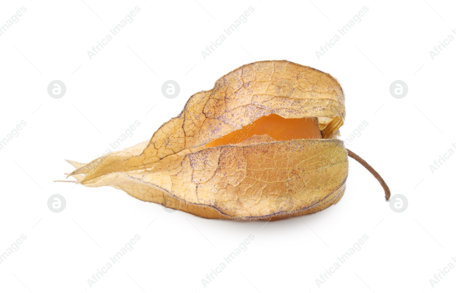 Photo of Ripe physalis fruit with calyx isolated on white