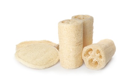 Photo of Different natural loofah sponges isolated on white