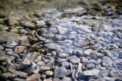 Photo of Stones and pebbles on bottom of river